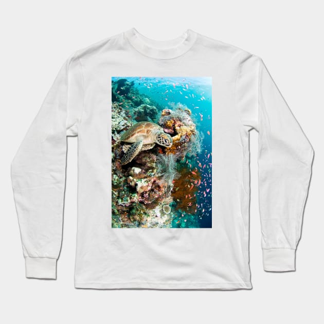 Green turtle (C002/8900) Long Sleeve T-Shirt by SciencePhoto